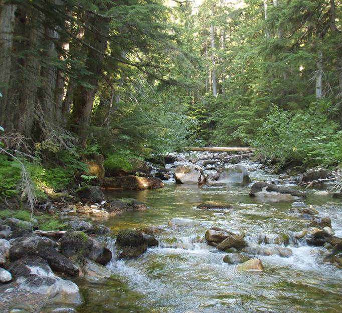 rockystreambed