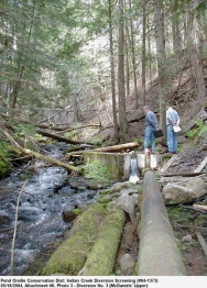 Indian Creek Water Diversion Before Fish Screen