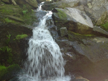 Natural Fish Passage Barrier South Fork Gold Creek