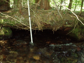 Old Log Crib Road Crossing Upper West Branch Priest River Watershed