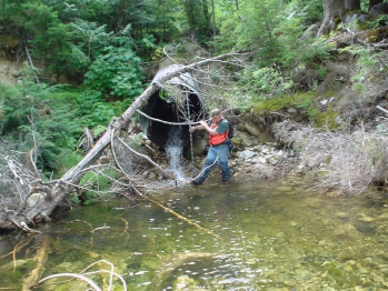 Perched Culvert Barrier