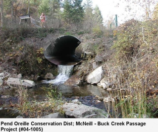 Perched Fish Passage Barrier Buck Creek