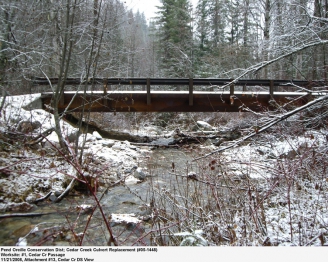 Restored Fish Passage Cedar Creek