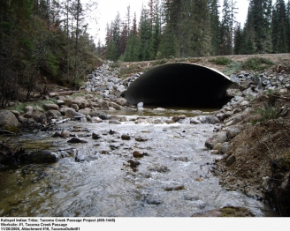 Restored Fish Passage Tacoma Creek