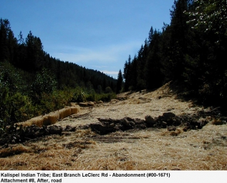 Road Removed and Restored Immediately After Construction East Branch LeClerc Creek